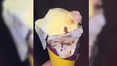 mumbai ice cream case  आइसक्रीम में मांस का टुकड़े मिलने के मामले में नया राज आया सामने