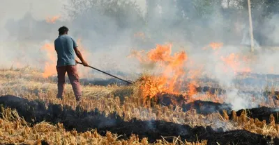 stubble burning  पराली जलाने वाले किसानों पर हरियाणा सरकार सख्त  दर्ज होगी fir