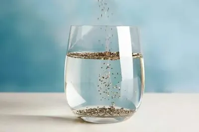 वजन घटाने के लिए कारगर है chia seeds  इन डिशेज में करें शामिल