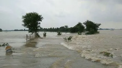 bihar flood news   पश्चिमी चंपारण और गोपालगंज में बाढ़ का खतरा  हाई अलर्ट पर जिला प्रशासन